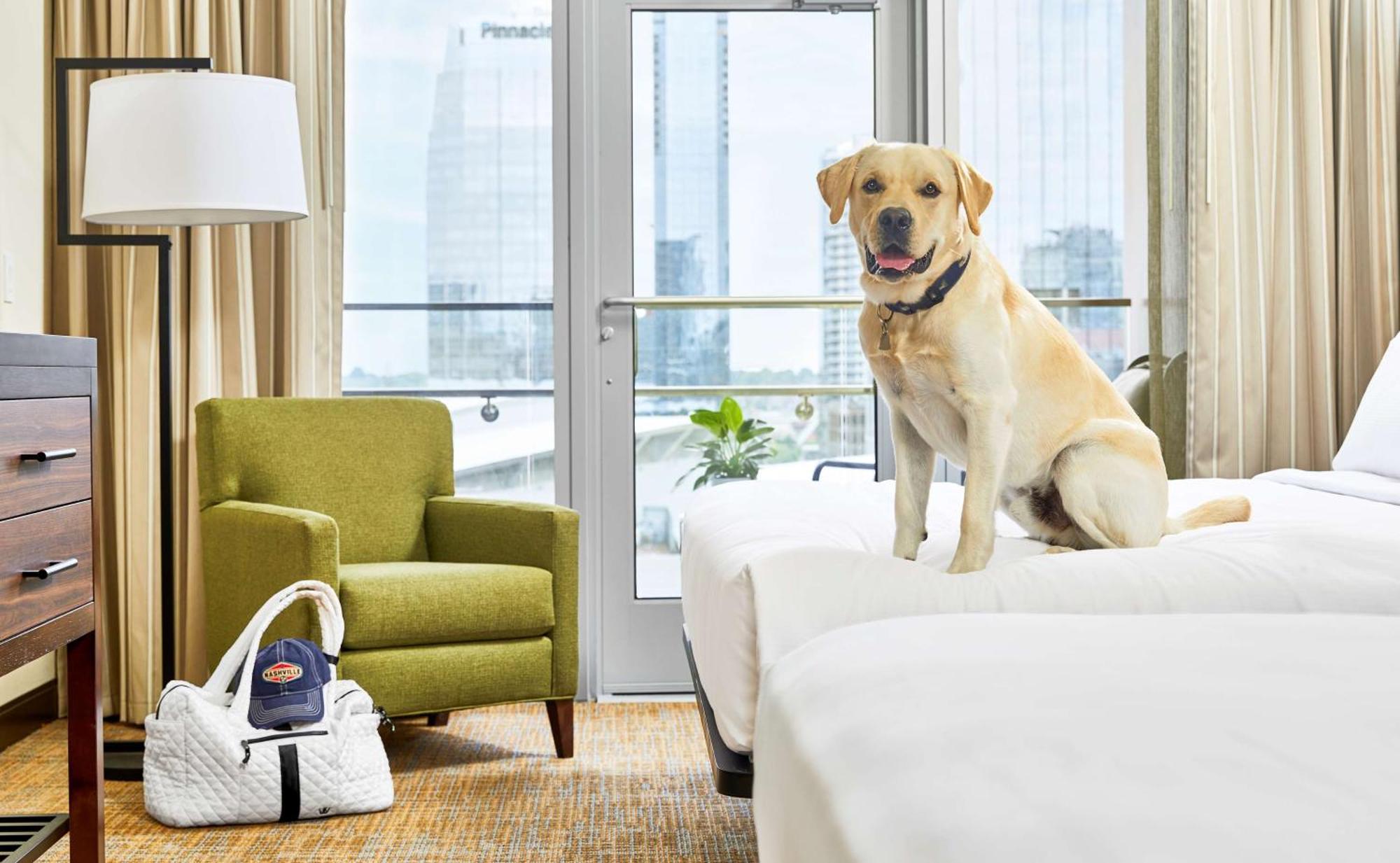 Embassy Suites By Hilton Nashville Downtown Exteriér fotografie